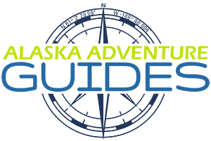alaska glacier tours near anchorage