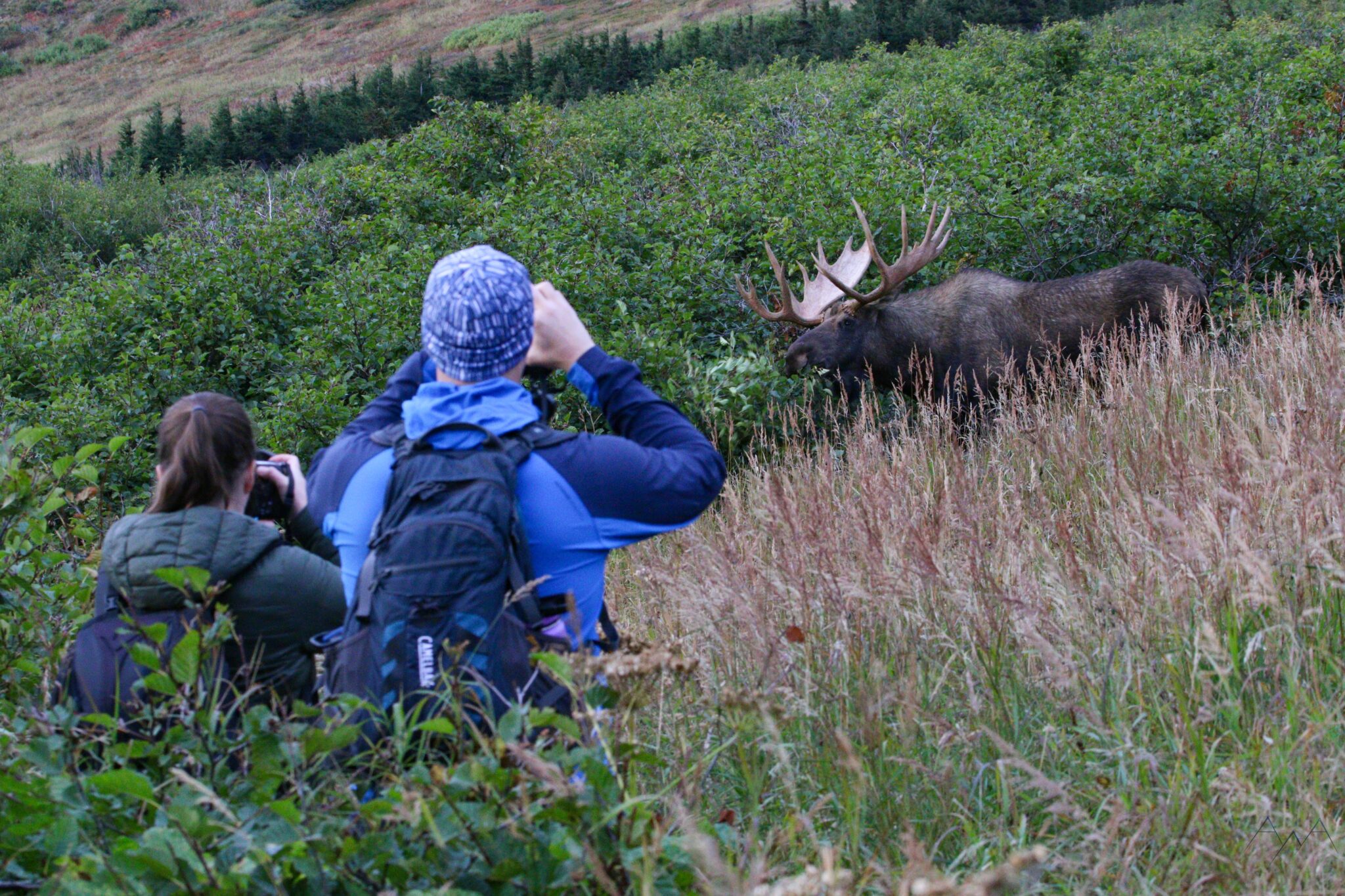 Best Hikes Near Anchorage - Alaska Adventure Guides