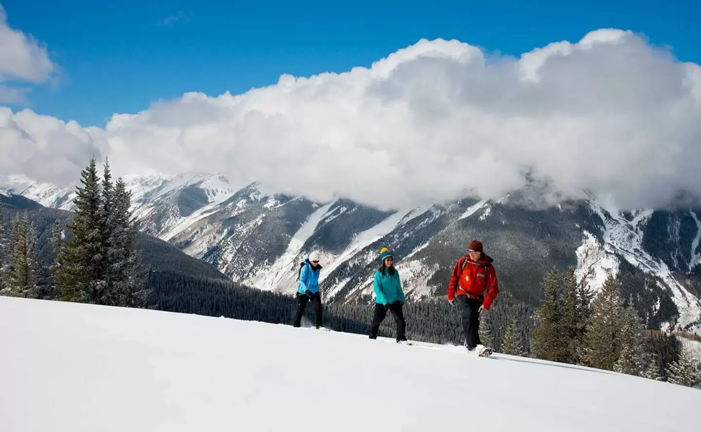 COVER IMAGE - Snowshoe (1) (1)