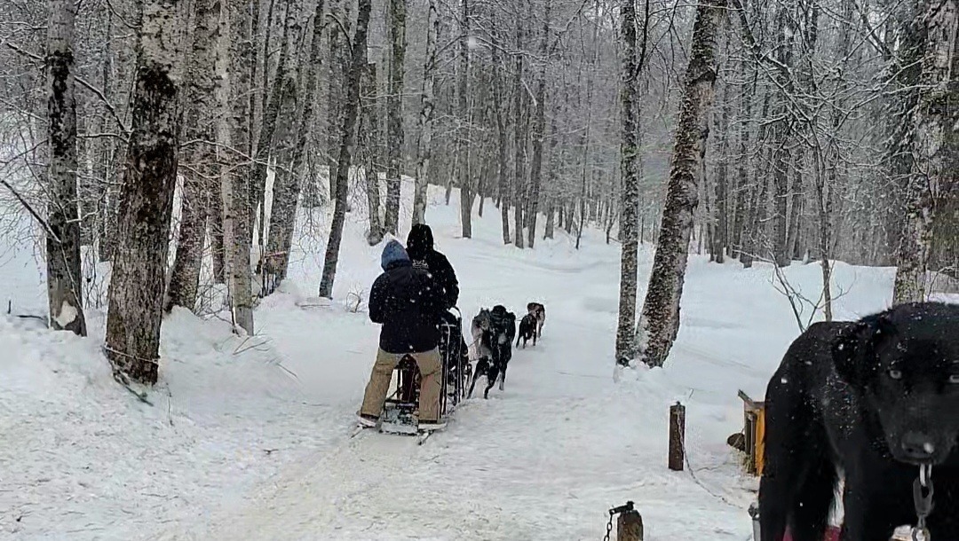 Log Riding Alaska All Riding Tours Alaska Adventure Guides
