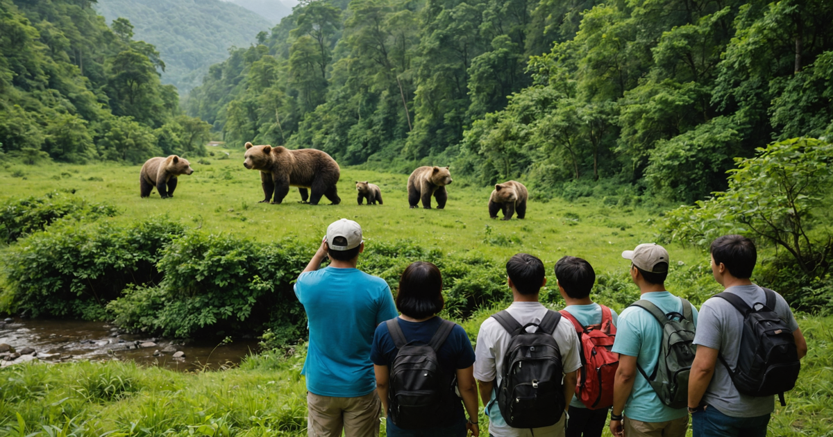 A group of tourists observing bears from a safe distance at Anan Wildlife Observatory